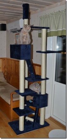 Nyströms Katter