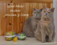 /album/bildgalleri/cid-4653687cd67b4348817c30f8aa1e742c-mindator-jpg/