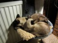 /album/bildgalleri/img-0477-jpg/