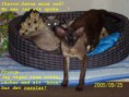 /album/bildgalleri/a100-0679-spoken-jpg-for-web-large-jpg/